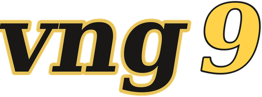 vng9 logo